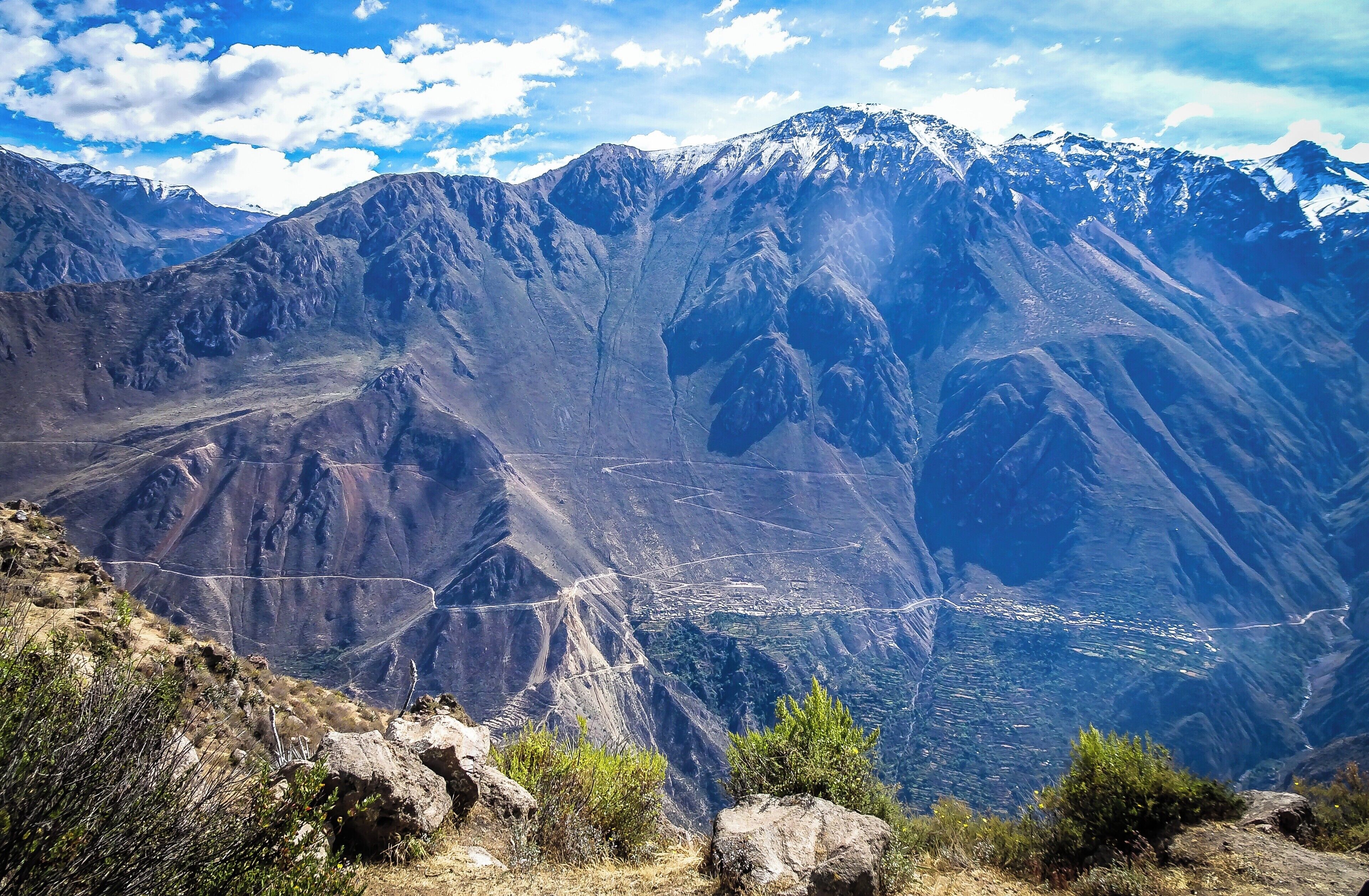 Canyon de Colca Condor