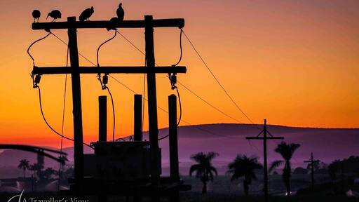 A short time before sunrise, the birds are still waiting for the sun as we get ready for our #WeekendGetaway and the big 4x4 run trip to Bivane Dam.