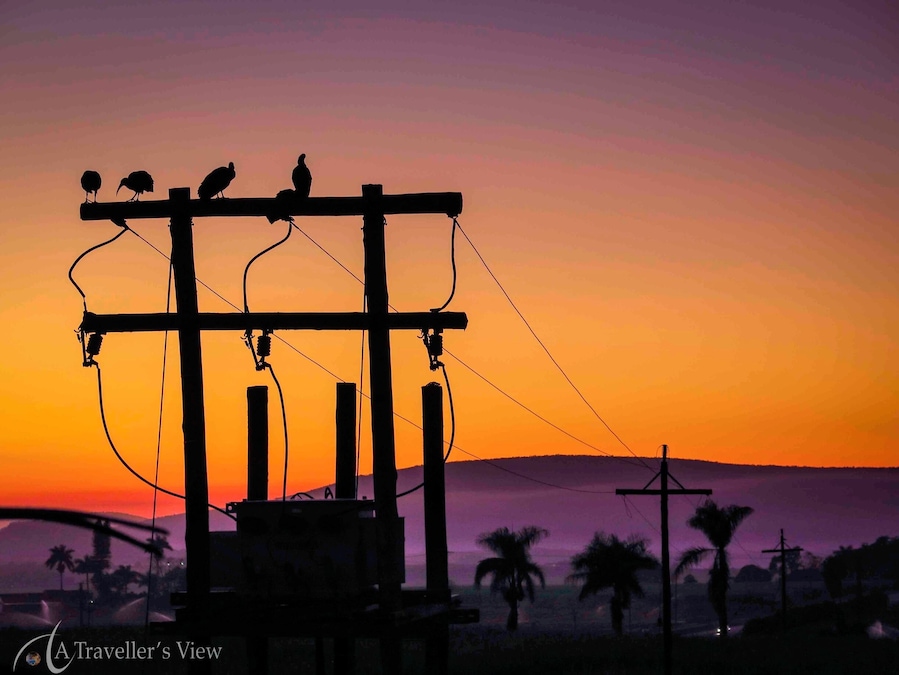 A short time before sunrise, the birds are still waiting for the sun as we get ready for our #WeekendGetaway and the big 4x4 run trip to Bivane Dam.