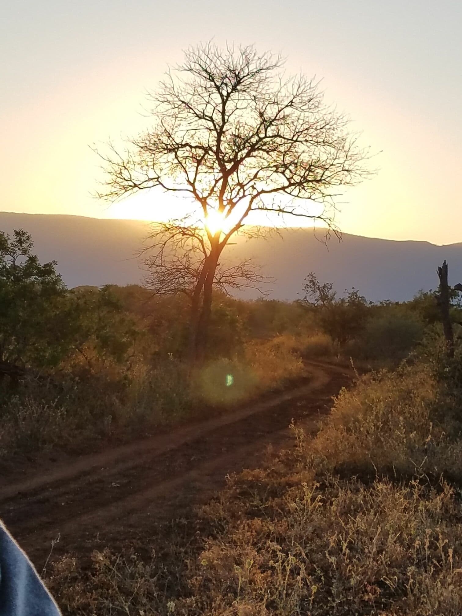 Magical place, great animal viewings