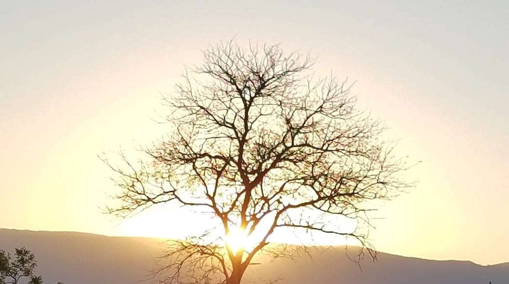 Magical place, great animal viewings