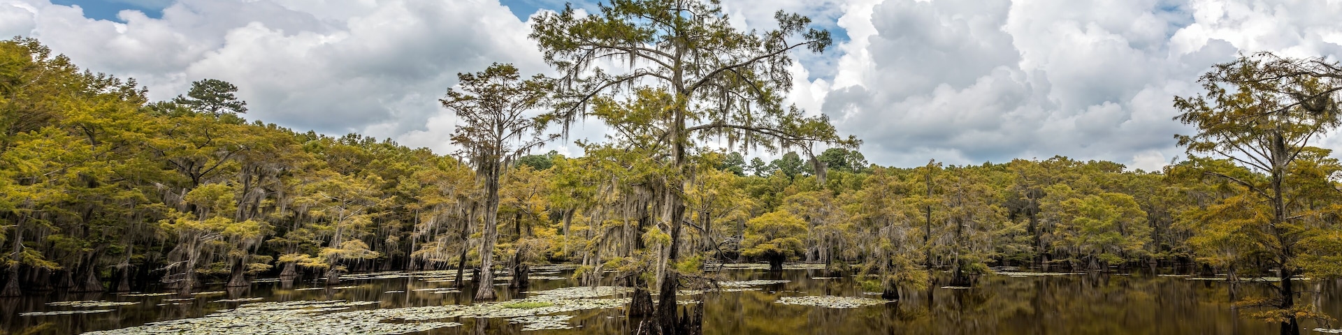 The magical landscape of the Caddo Lake, Texas