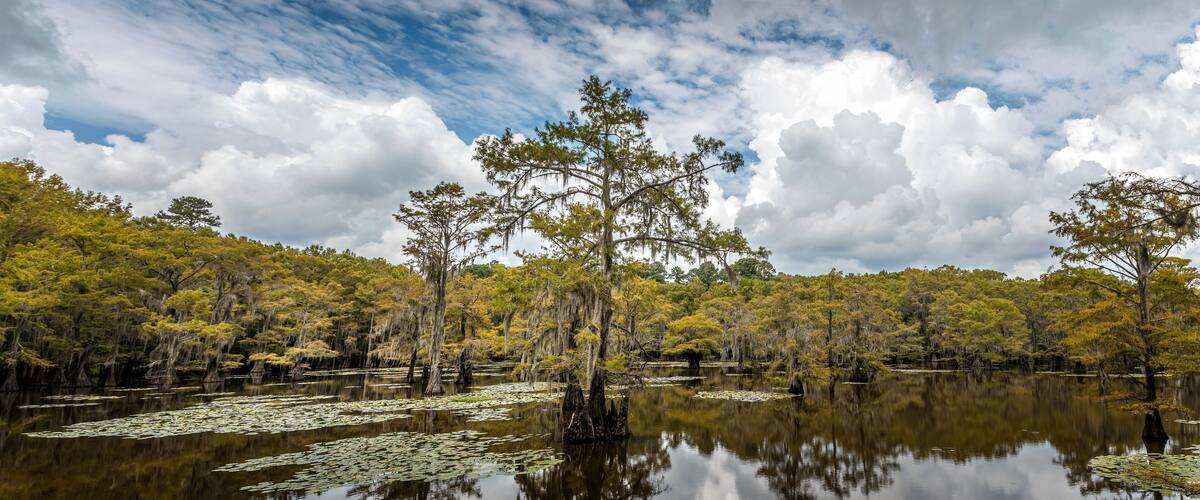 A calm lake surrounded by trees with Spanish moss, reflecting the sky and clouds.