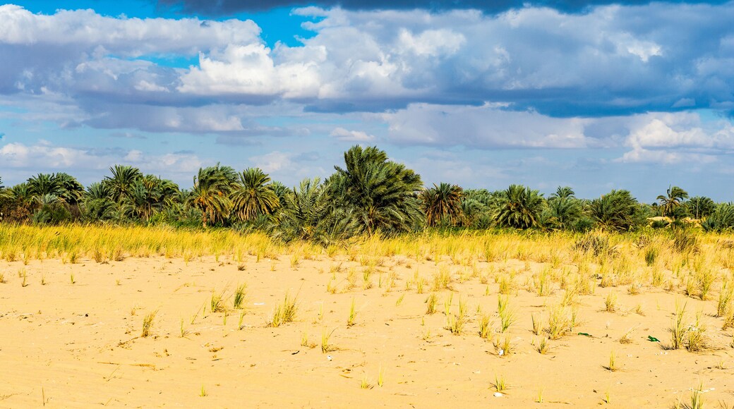 It's Bahariya Oasis, Egypt