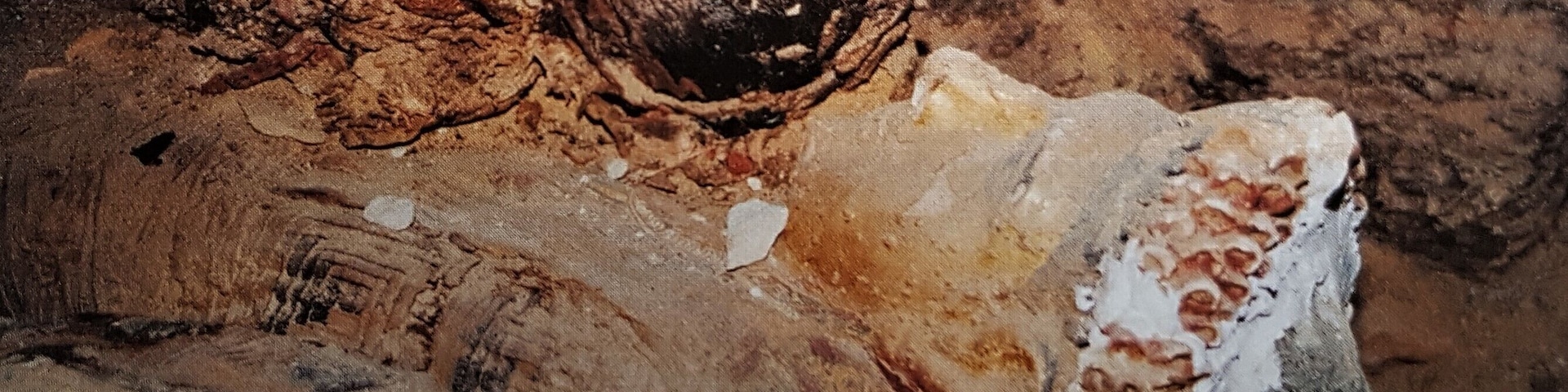 In April 2001, Egyptian archaeologists uncovered 22 mummies in Bahariya, some 350 kilometres from Cairo. They date from the 6th century BC and were neatly divided into two tombs.
Shortly afterwards, during a journey through the White Desert, I was given the exceptional opportunity to descend with an Egyptian friend in one of the tombs. There I found this untouched sarcophagus of a mother with the mummy of her child on top of her.
(The necropolis in the Bahariya Valley, home to more than 230 mummies, was only discovered in 1999.) #Adventure #LocalSecrets #Trovember