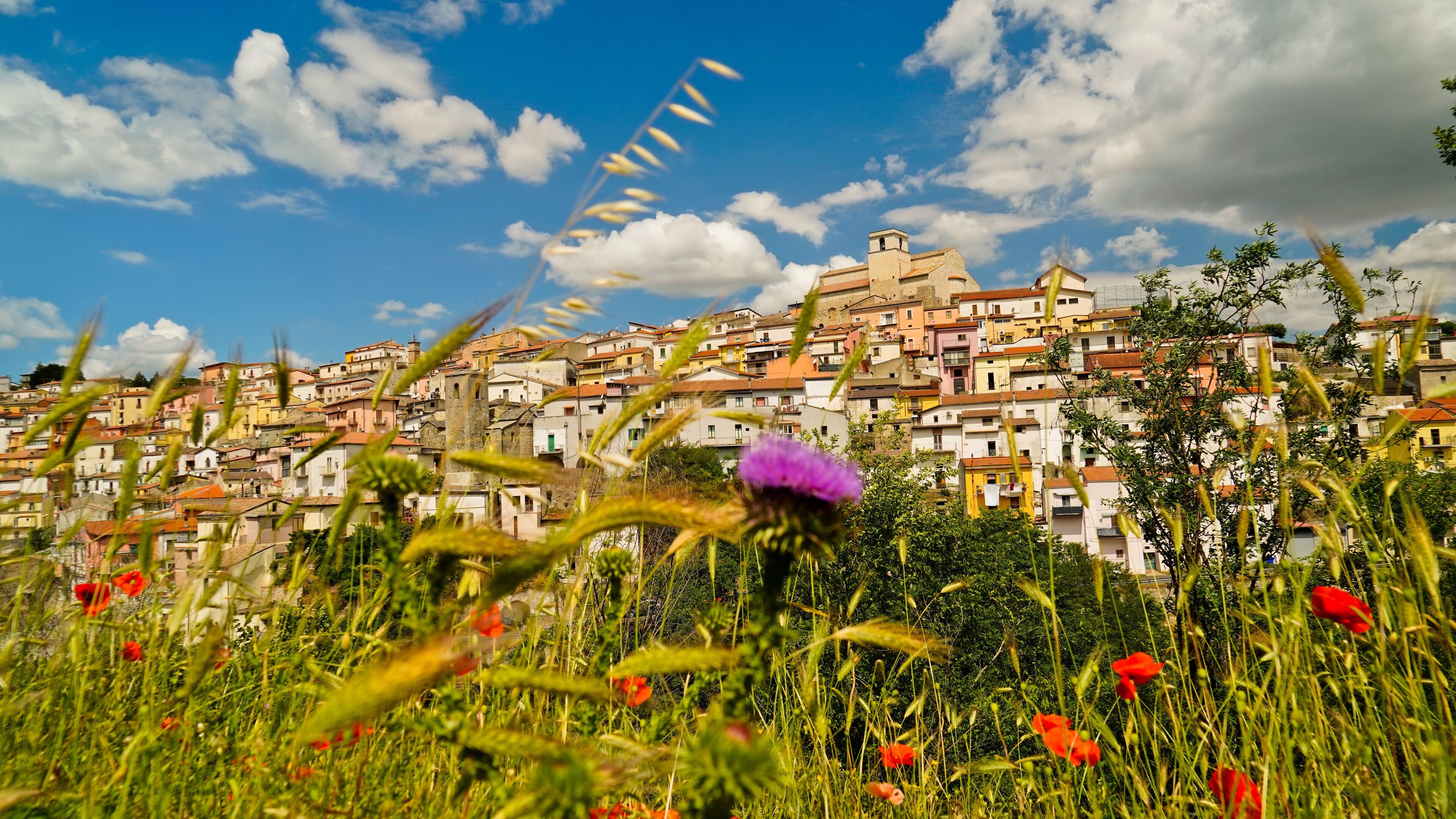 A hillside town with colorful buildings, a prominent tower, and a purple flower in the foreground.