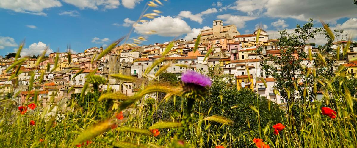 A hillside town with colorful buildings, a prominent tower, and a purple flower in the foreground.