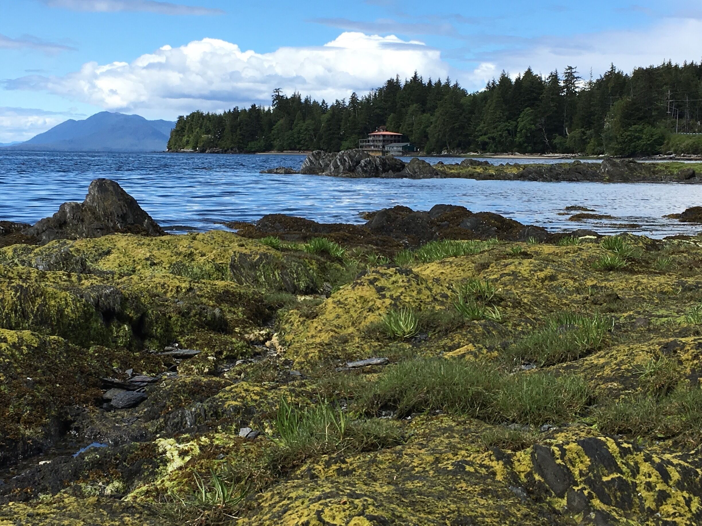 Awesome State Park just a few miles from docks. There are 25 totem poles that have been restored over the last 50 years at this wonderful coastal park.