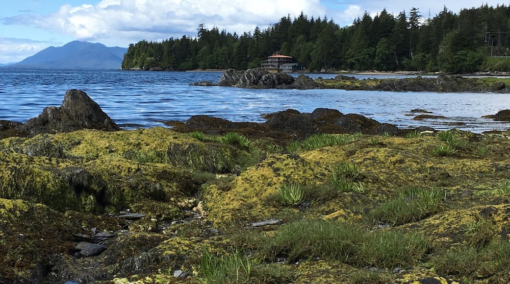 Awesome State Park just a few miles from docks. There are 25 totem poles that have been restored over the last 50 years at this wonderful coastal park.