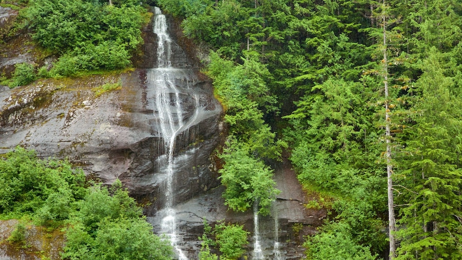 Misty Fjords National Monument showing a cascade