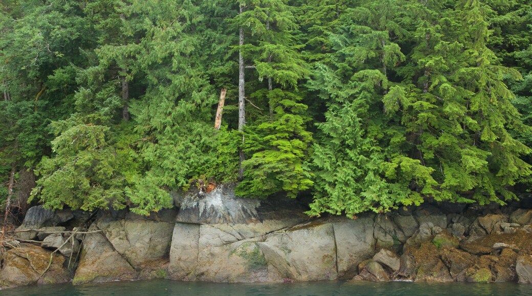 Hyder trong đó bao gồm rừng rậm