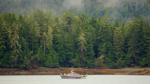 Sørøst-Alaska - Inside Passage som inkluderer skoglandskap