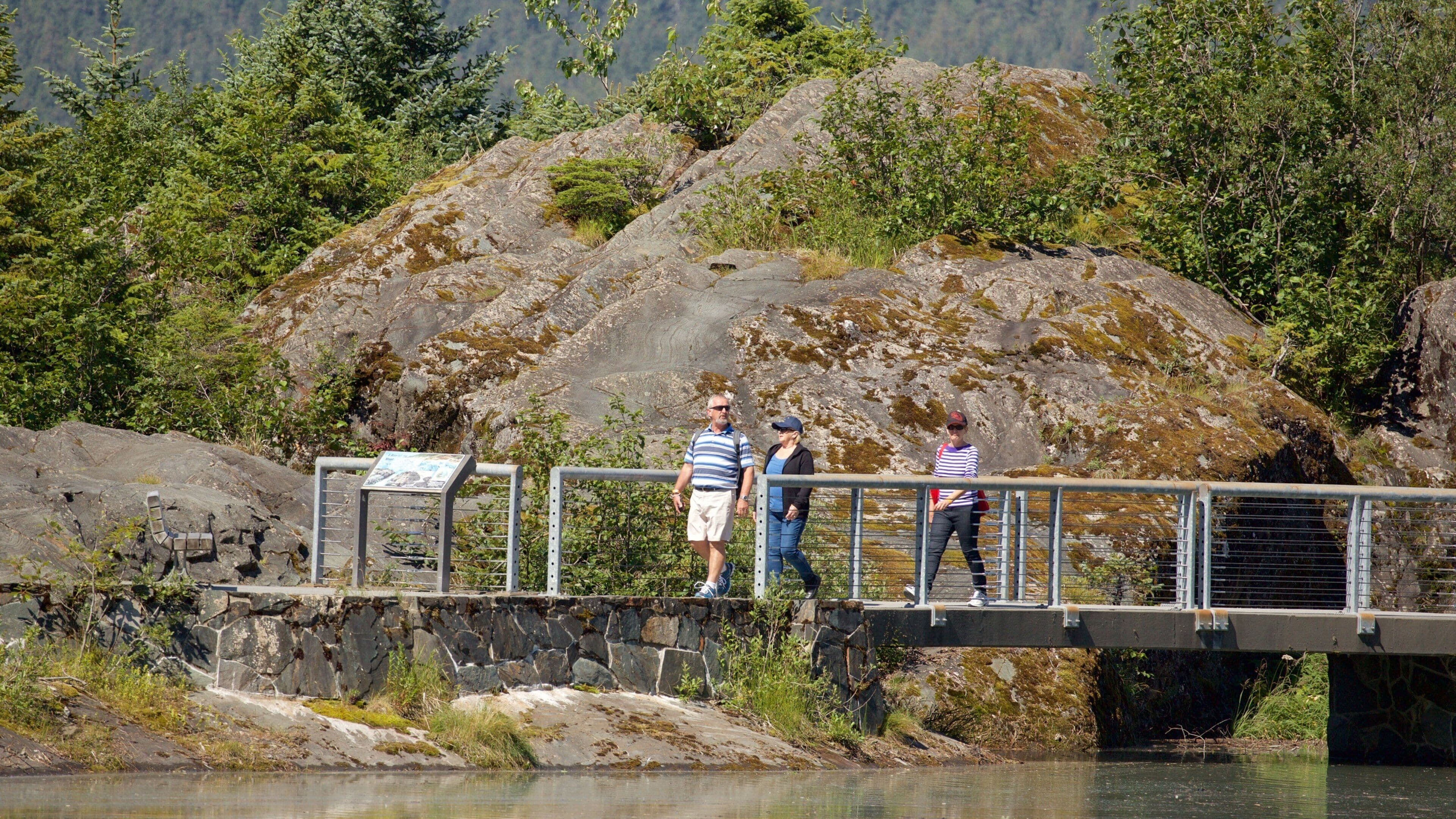 門登霍爾冰河 设有 橋樑 以及 一小群人