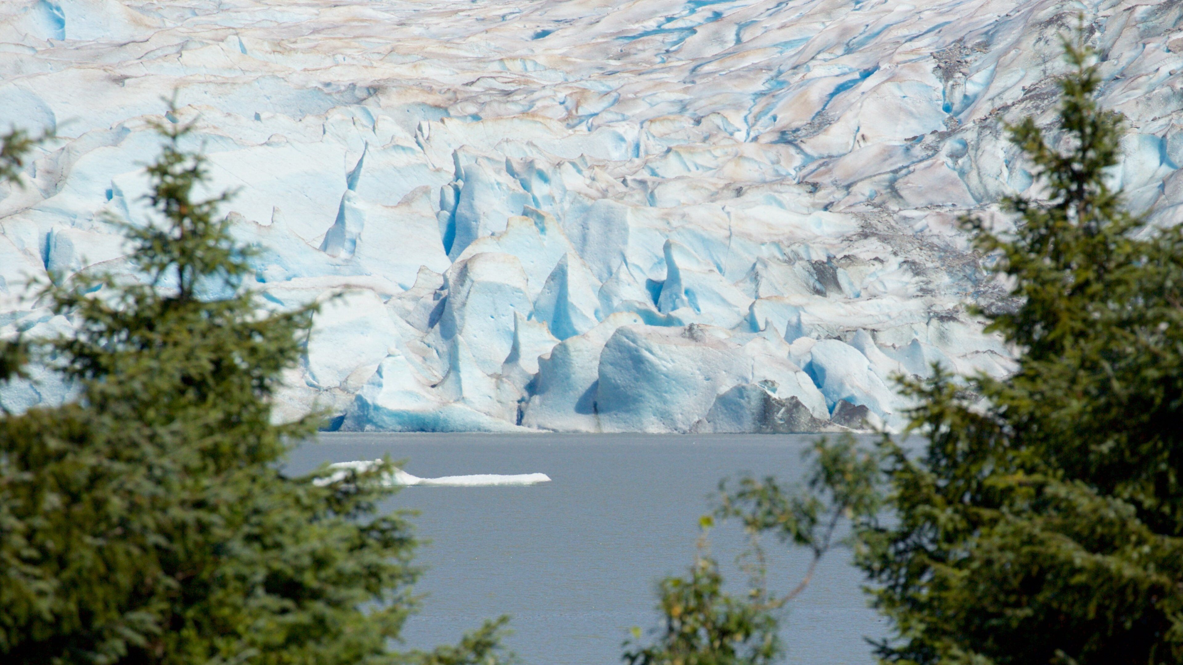 Mendenhall Glacier which includes a lake or waterhole