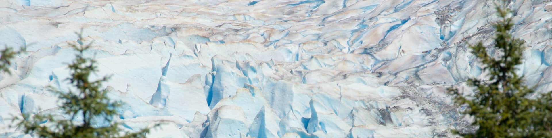 Mendenhall Glacier which includes a lake or waterhole