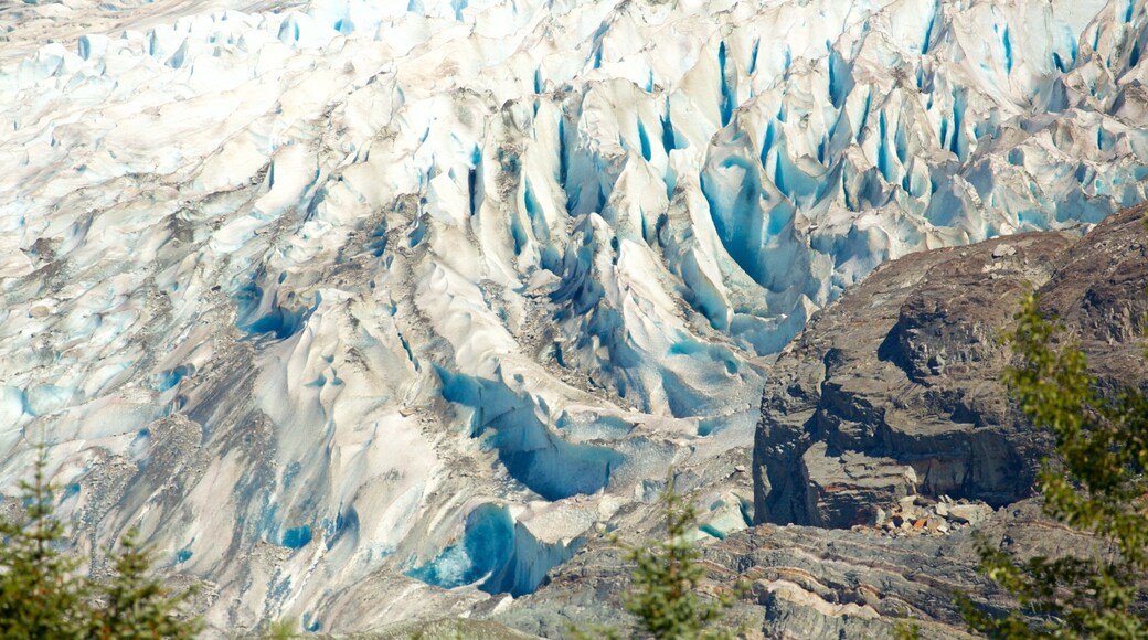 Mendenhall Glacier featuring snow