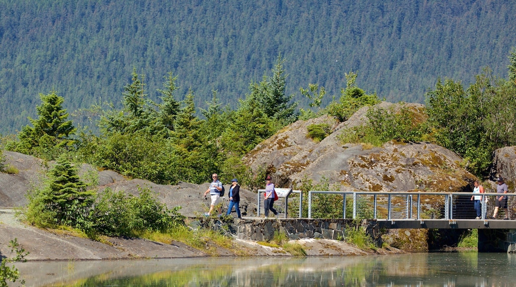 門登霍爾冰河 设有 湖泊或水池 和 橋樑 以及 一大群人