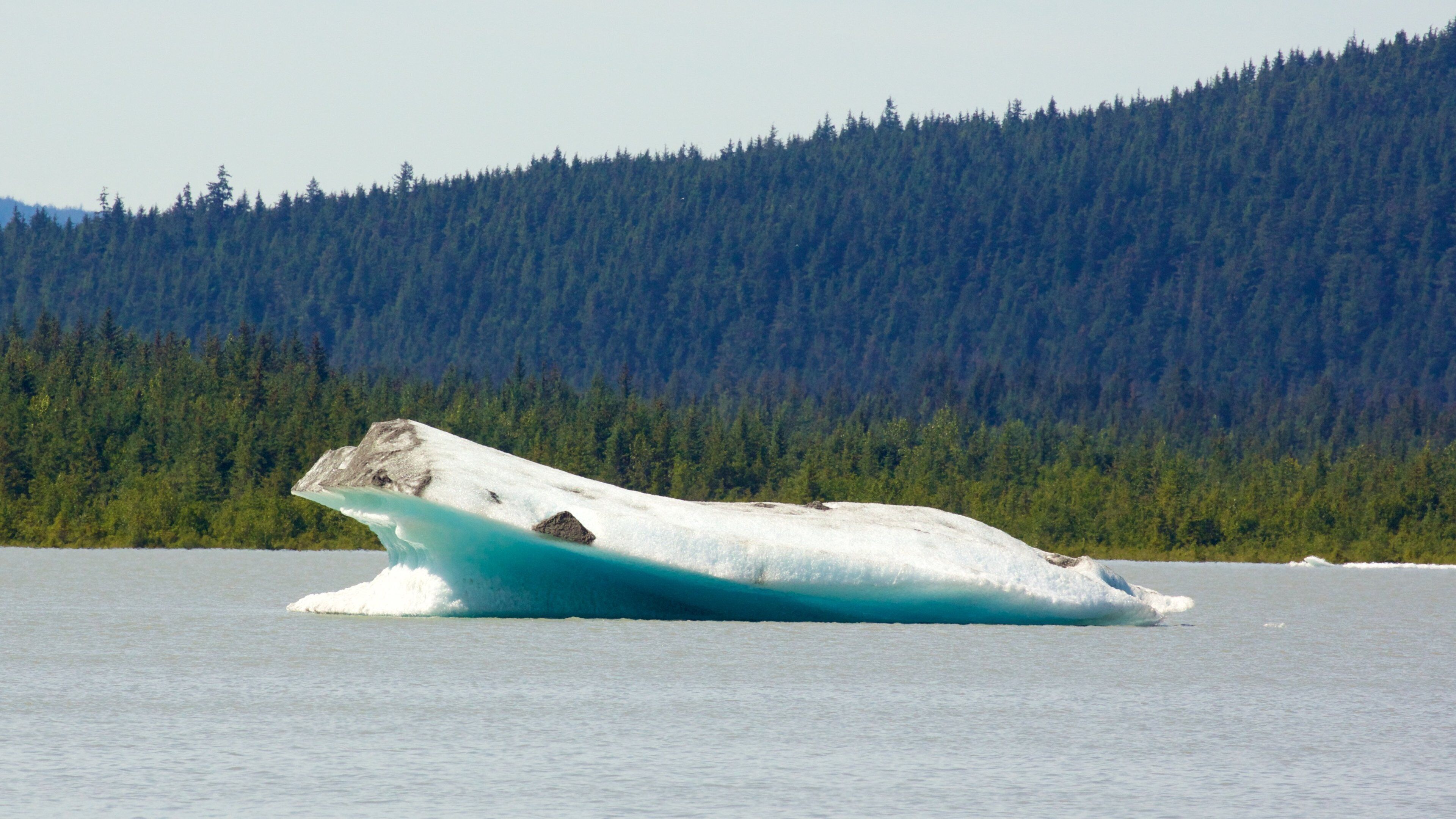 Glaciar Mendenhall que incluye escenas forestales y un lago o abrevadero