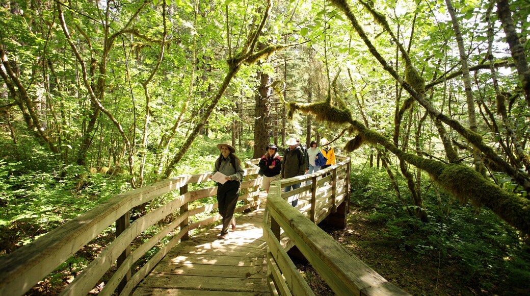 Glacier Bay National Park