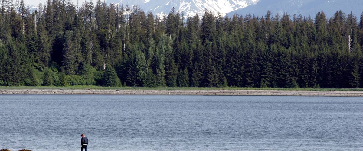 Glacier Bay National Park which includes mountains, a bay or harbor and forest scenes