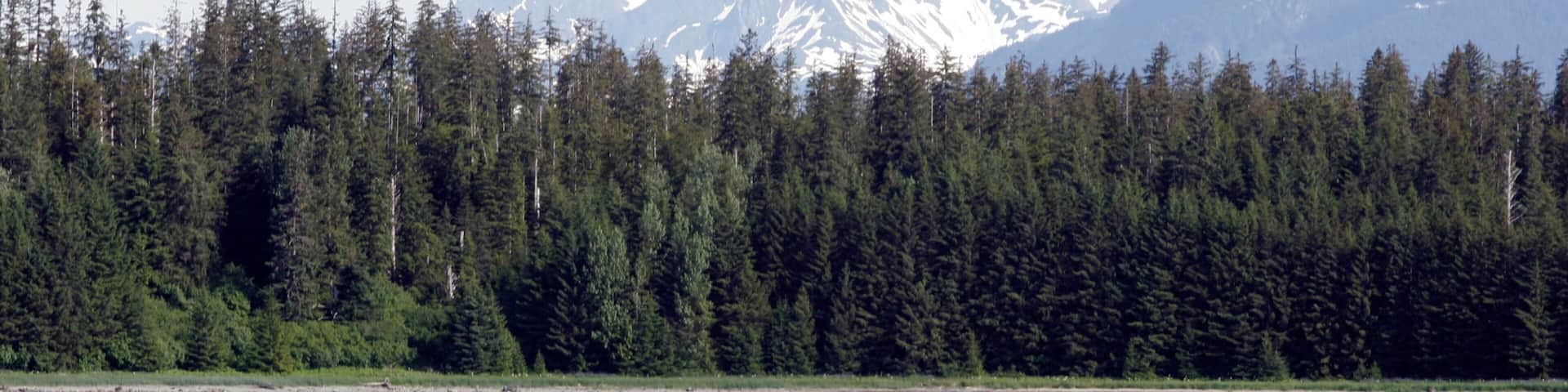 Glacier Bay National Park featuring forests, mountains and a bay or harbor