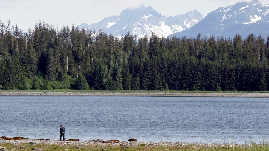 Glacier Bay National Park featuring forests, mountains and a bay or harbor