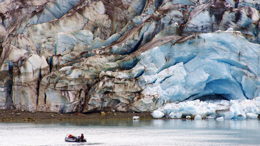 Glacier Bay National Park caratteristiche di giro in barca e baia e porto