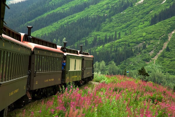 White Pass mettant en vedette scènes forestières, montagnes et fleurs sauvages