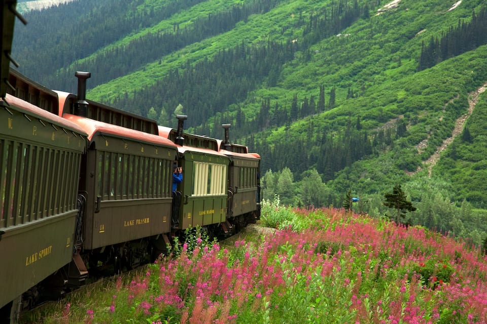A train with 'Lake Spirit' and 'Lake Fraser' written on the side, moving through a mountainous area with dense green forests and pink flowers.