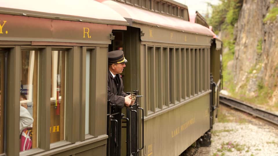 A train with 'R' and 'W' letters on the side, a man in uniform holding a ticket, and a mountainous landscape in the background.