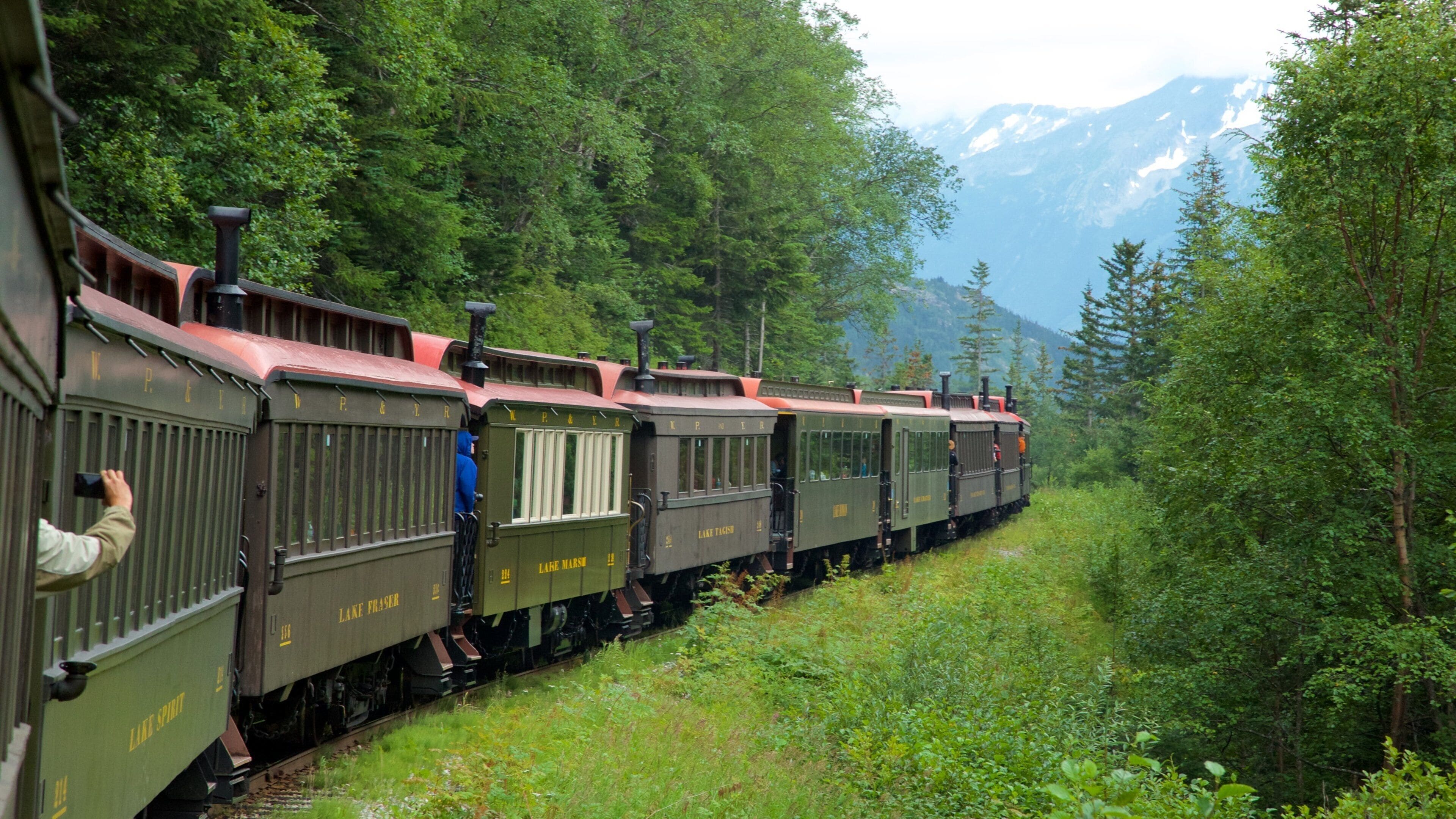 White Pass mettant en vedette scènes forestières et articles ferroviaires