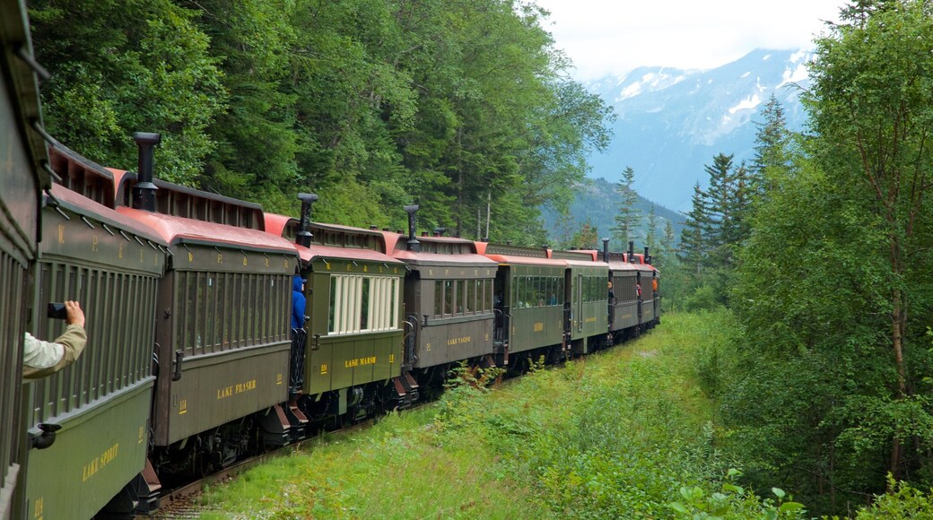 White Pass mettant en vedette scĂšnes forestiĂšres et articles ferroviaires