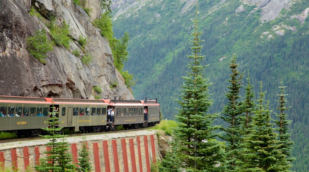 White Pass showing forests, mountains and railway items