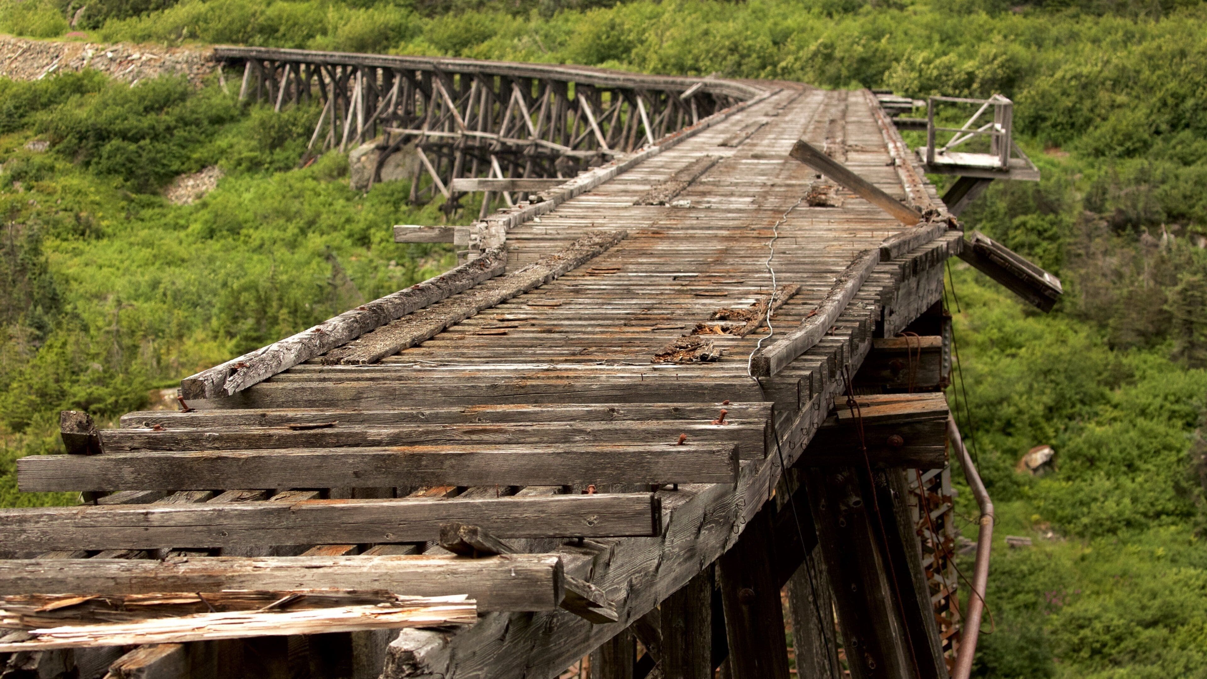 White Pass montrant articles ferroviaires, forêts et pont