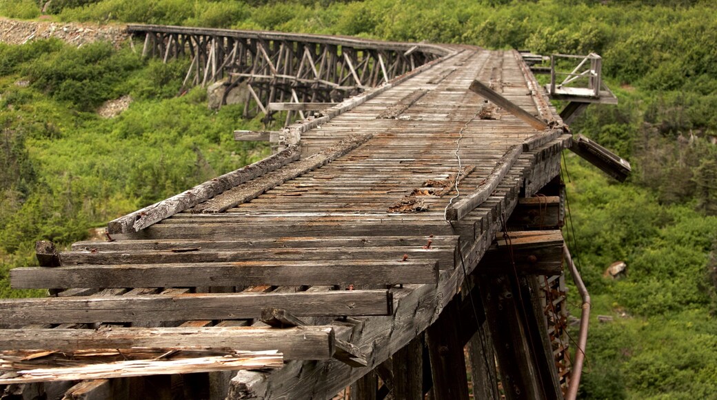 White Pass montrant articles ferroviaires, forĂȘts et pont