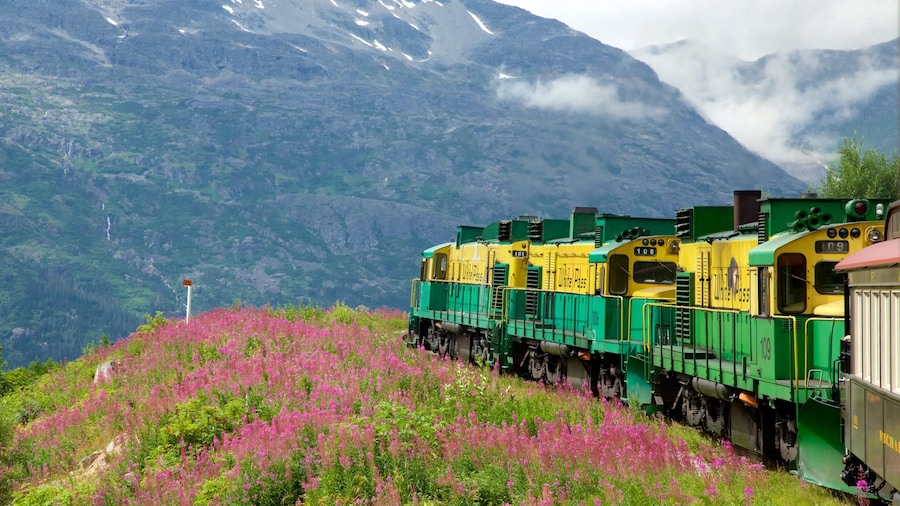 White Pass which includes mountains, railway items and wildflowers