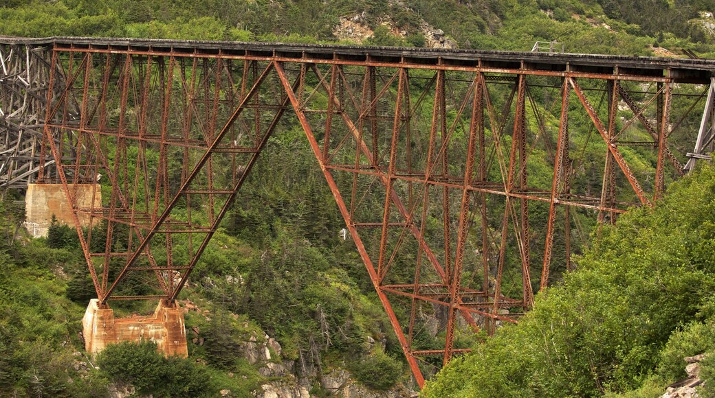 White Pass mettant en vedette pont, articles ferroviaires et forĂȘts