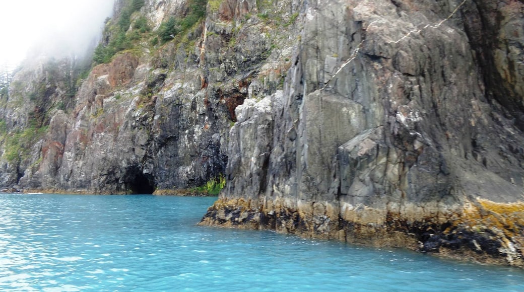 Sea kayaking Alaska's Kenai Fjords, most definitely bucket list worthy;)