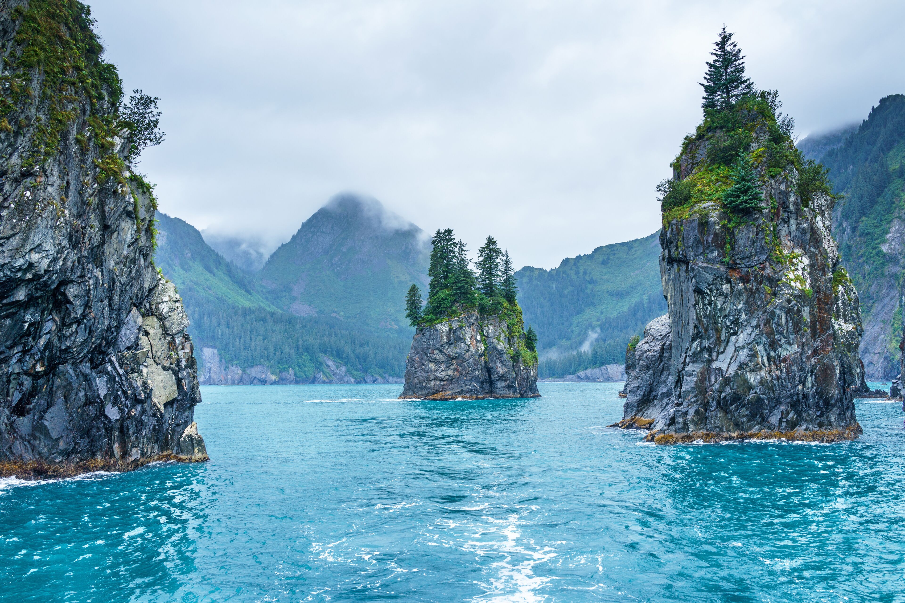 Tree-covered rocks in blue water on a cloudy morning, Porcupine Bay, Kenai Fjords National Park, Alaska
