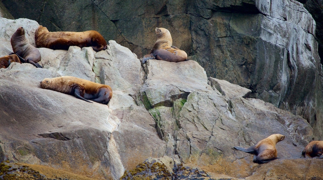 Kenai Fjords National Park showing dangerous animals