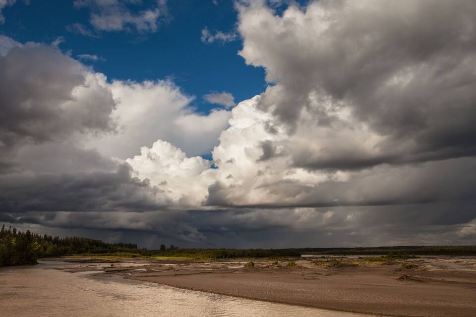 A riverbank with a forest in the background and a cloudy sky.
