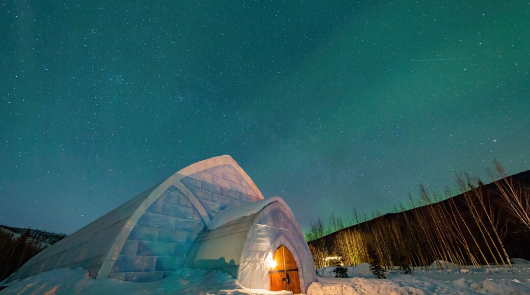 费尔班克斯冰雪博物馆