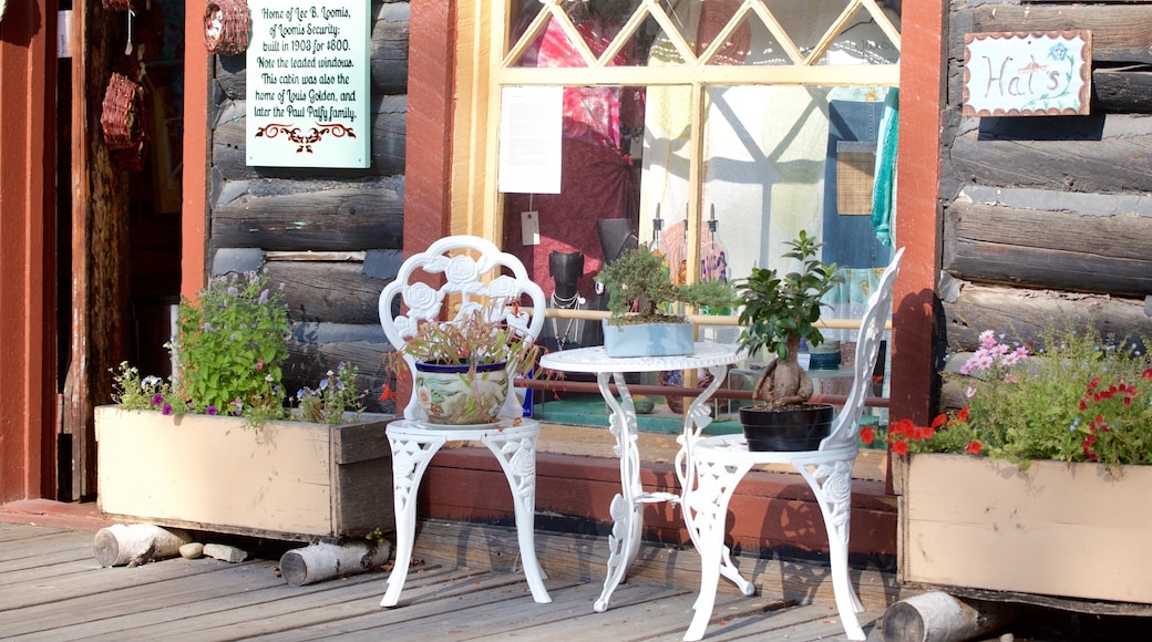 Pioneer Park que incluye atracciones y elementos patrimoniales