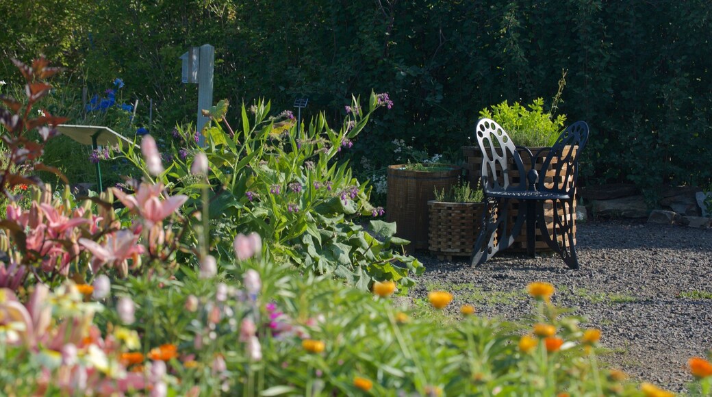Georgeson Botanical Garden som viser villblomster og hage