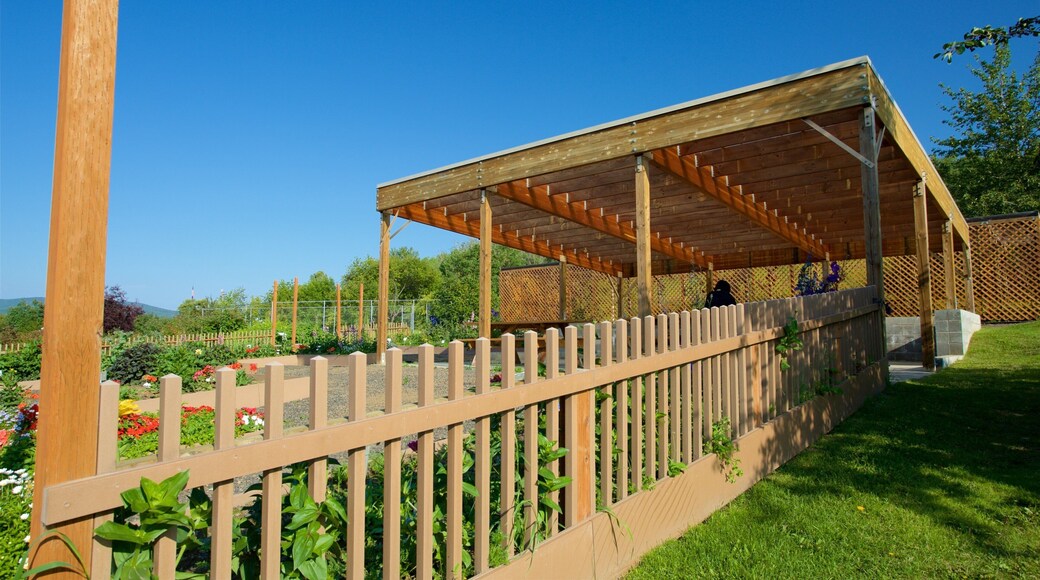 Georgeson Botanical Garden