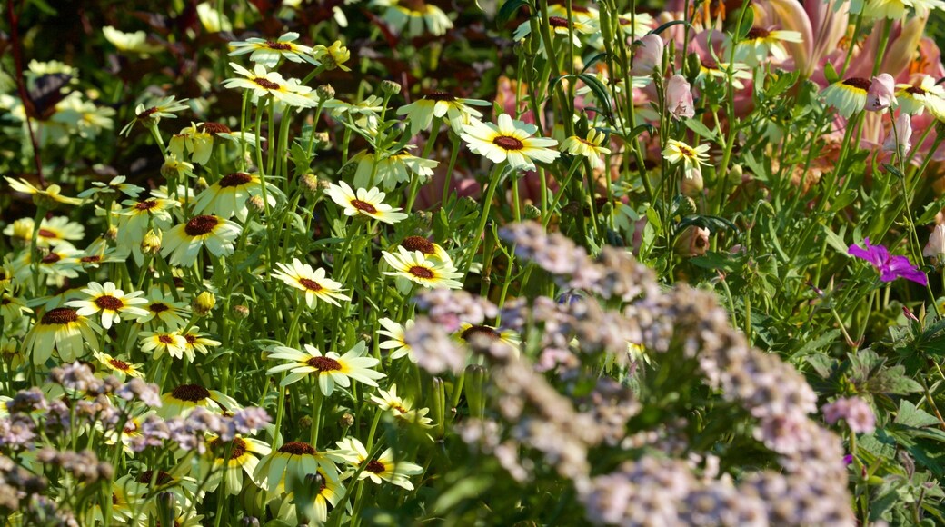 Georgeson Botanical Garden