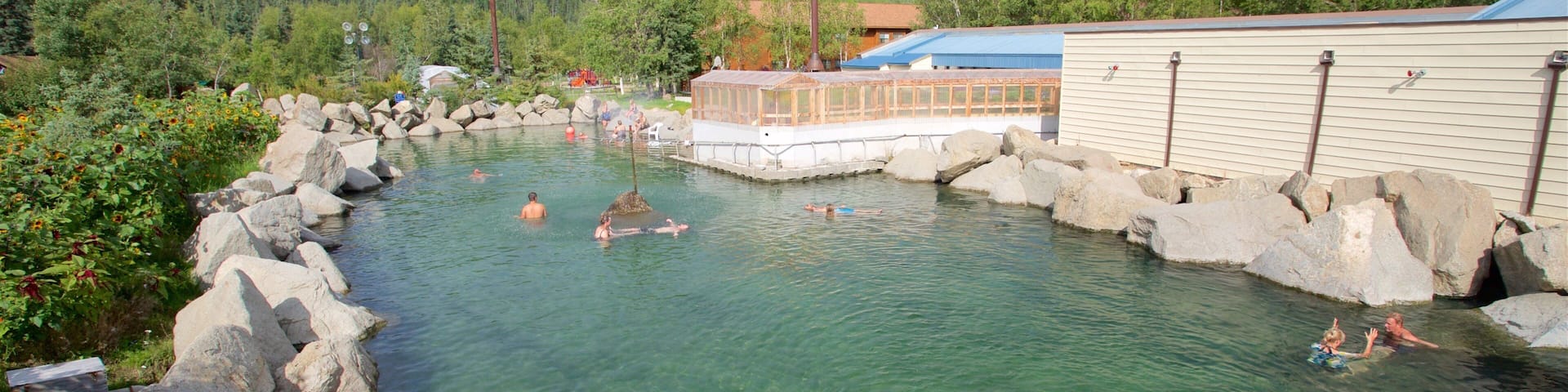 A clear pool with rocks, surrounded by trees and a building.