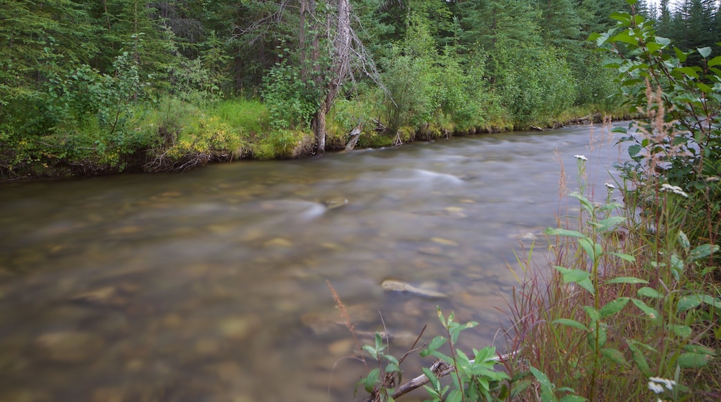 Chena Hot Springs que incluye un río o arroyo