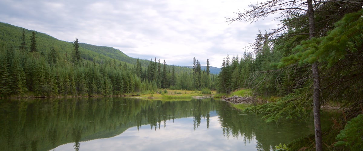 Un lac paisible, entouré d’une forêt dense, avec une montagne en arrière-plan.