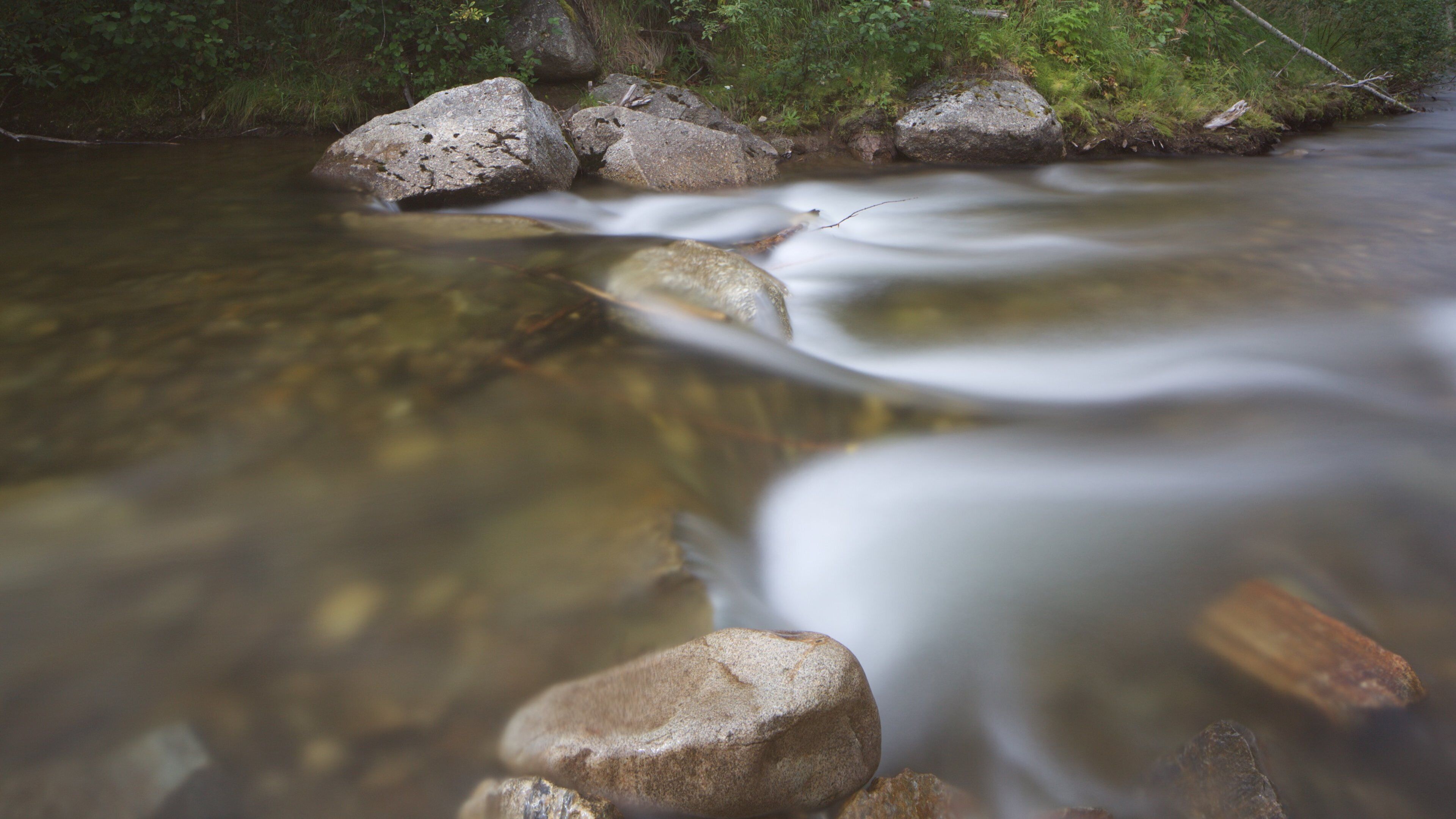 Chena Hot Springs which includes a river or creek